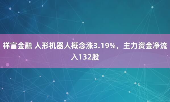 祥富金融 人形机器人概念涨3.19%，主力资金净流入132股