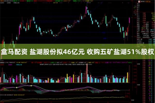 盒马配资 盐湖股份拟46亿元 收购五矿盐湖51%股权