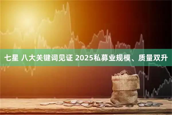 七星 八大关键词见证 2025私募业规模、质量双升