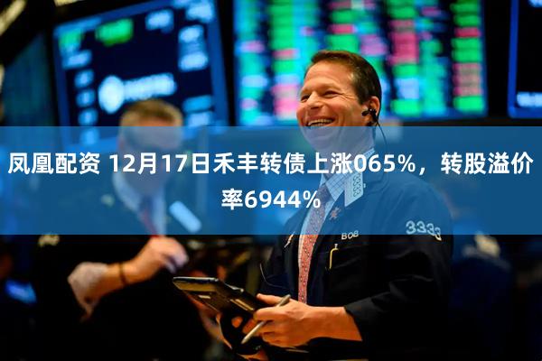 凤凰配资 12月17日禾丰转债上涨065%，转股溢价率6944%