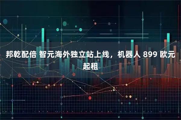 邦乾配倍 智元海外独立站上线，机器人 899 欧元起租